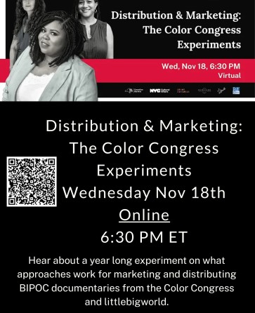 Distribution and Marketing: the Color Congress Experiments